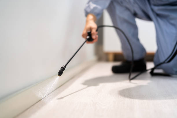 Certified termite inspector examining foundation in Jasper